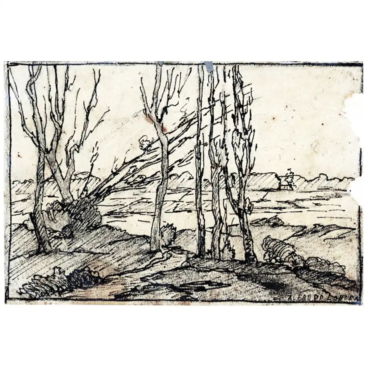 08 - ALFREDO LOBOS